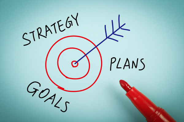 Strategy, Plans, Goals for customer acquisition